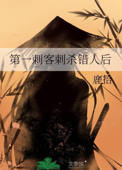 第一刺客女婿