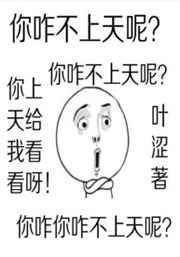 你咋不上天呢? 叶涩