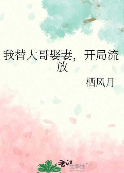我替我哥娶了那个omger之后
