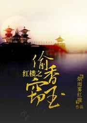 红楼之偷香窃玉无弹窗