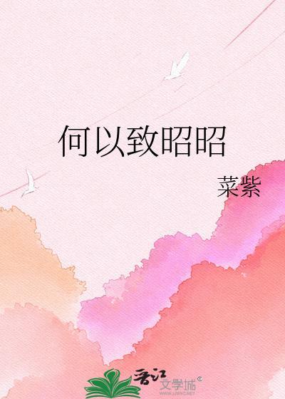 何以致昭昭免费阅读