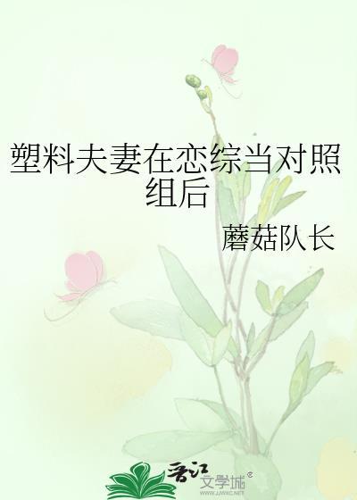塑料夫妻是什么东西