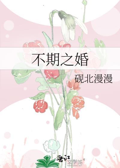 不期之婚全文阅读