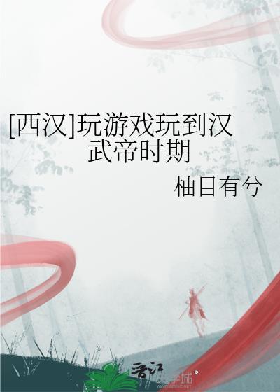 西汉玩游戏玩到汉武朝
