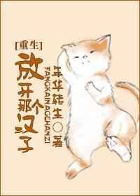 放开那个汉子txt年华转生