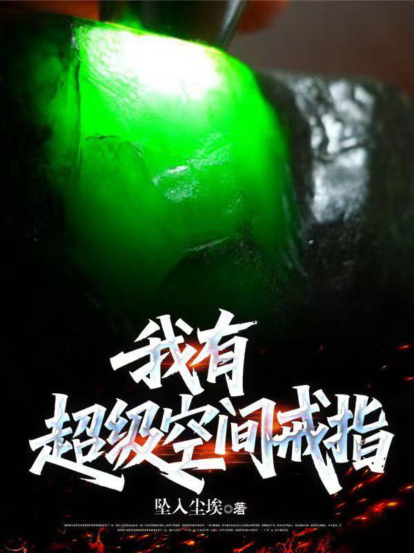 我有超级空间戒指 笔趣阁无弹窗
