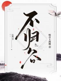 不归谷武侠