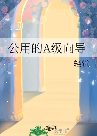 B级向导的工