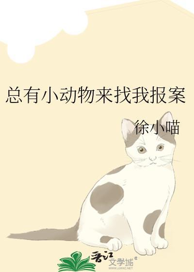 总有小动物来找我报案盘搜搜