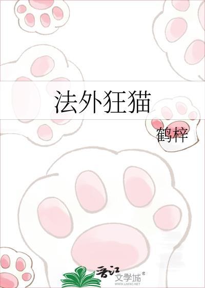 法外狂猫19