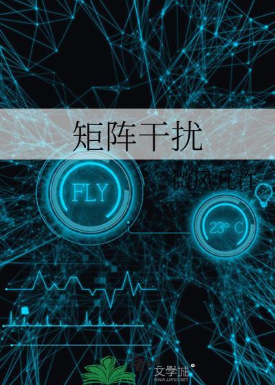 矩阵干扰微风几许