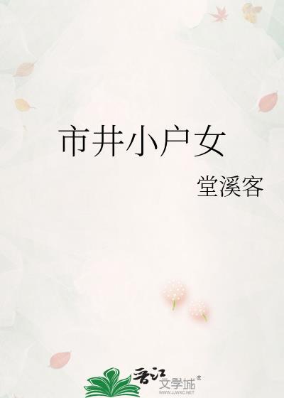 市井小户女讲什么
