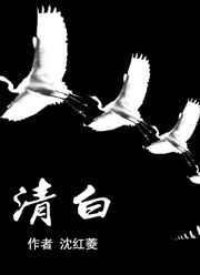 清白之恋是什么