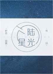 陆光星歌手