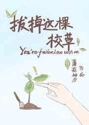 我拔了这棵草晋江