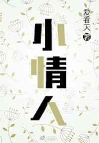 小情人苏玛丽免费阅读