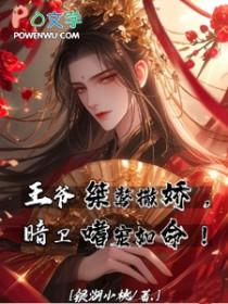 王爷暗卫