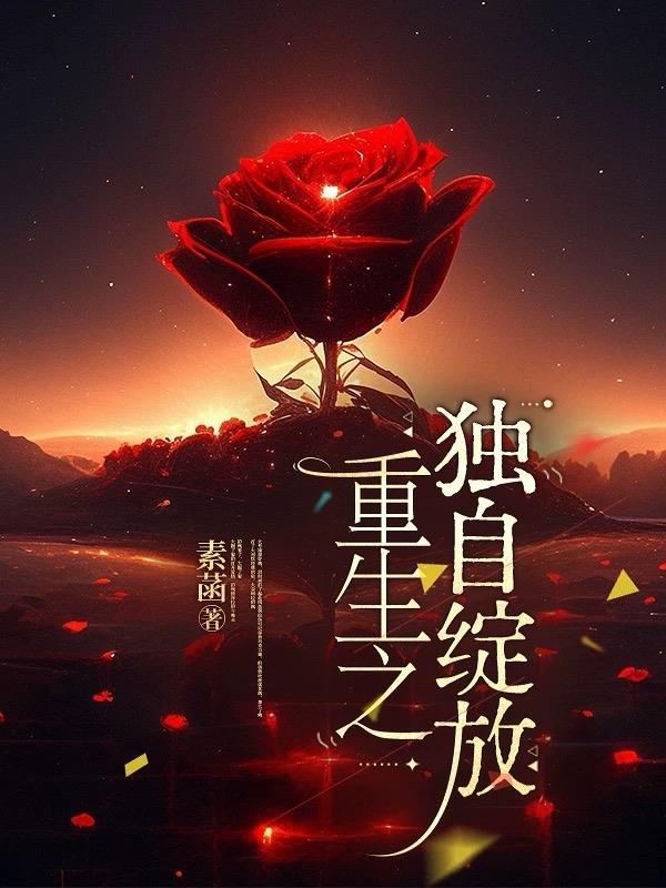 重生之独揽