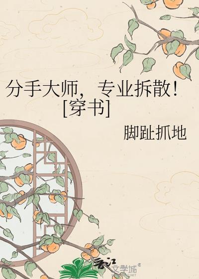 分手大师讲的是什么