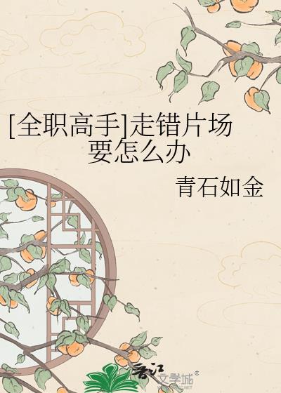 全职高手女主选错了