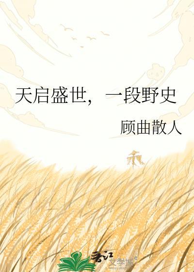 天启盛世一段野史晋江文学城手机版