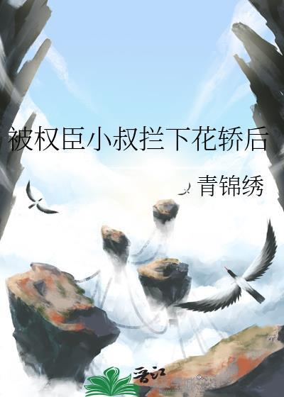 被权臣小叔拦下花轿后 青锦绣