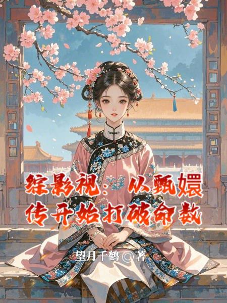 综穿影视甄嬛传