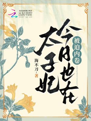 太子妃妃今日安否