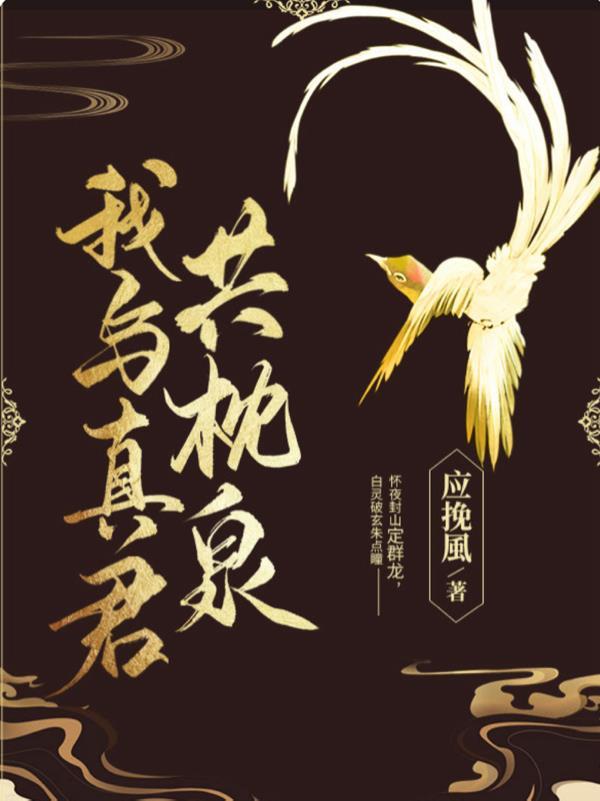 我与真君解战袍