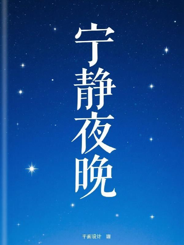 宁静夜晚优美句子