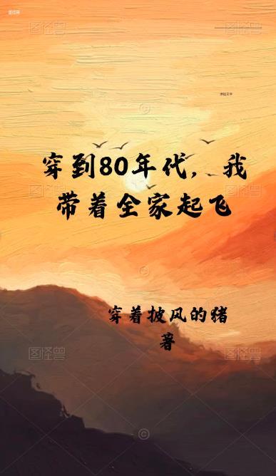 八零年代我带飞全家短剧