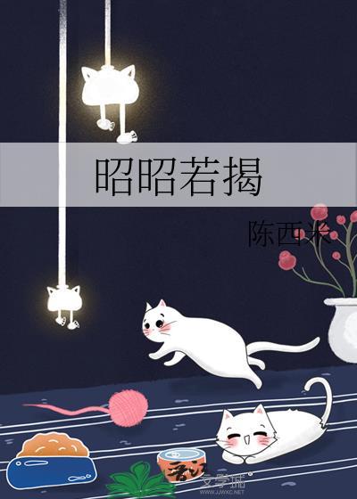 昭昭若揭TXT百度