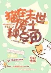 末世猫咪