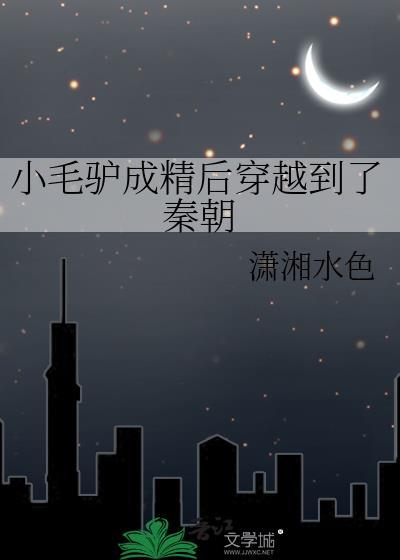 小毛驴1