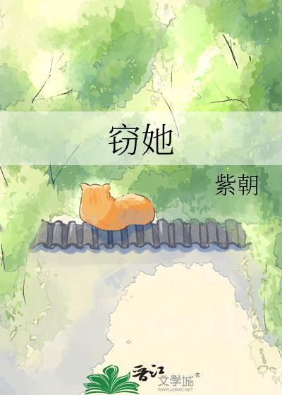 窃她大结局