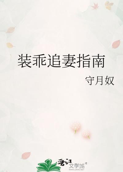 装乖追妻指南全集