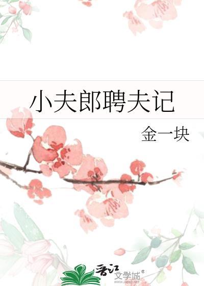 小夫郎聘夫记TXT