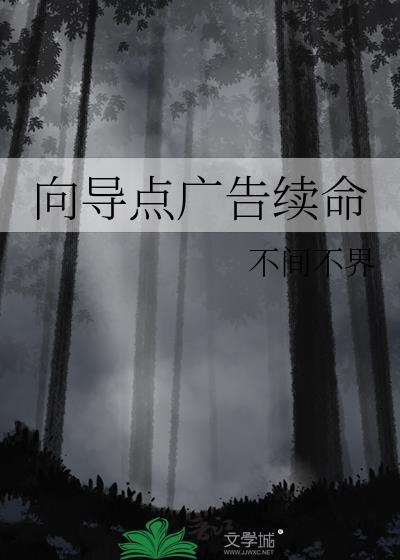 向导点广告番外