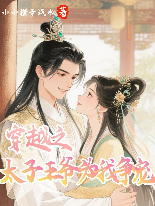 穿越之太子妃的谋略