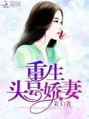 头号新妻