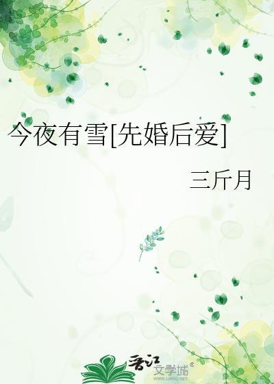 今夜有雪TXT番外