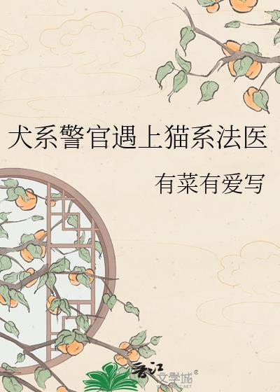 犬系猫系什么意思
