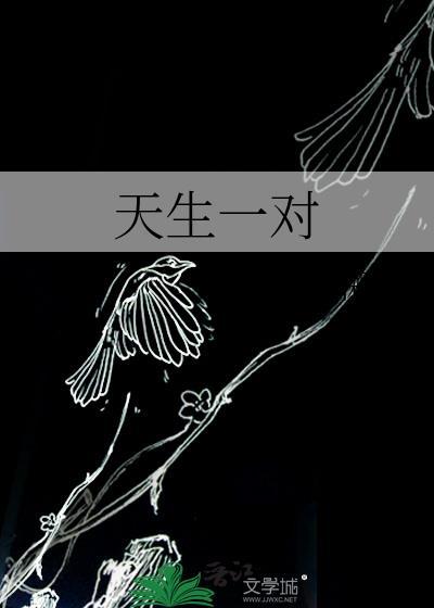 天生一对综艺