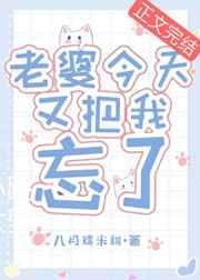 老婆今天又把我忘了txt