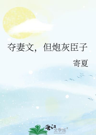 夺妻全文阅读说的什么