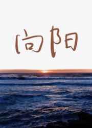 向阳的图片