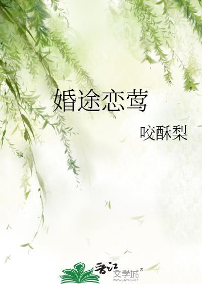 婚途讲什么