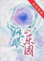风眼乐园讲的什么