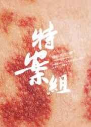 特殊案件调查组1集
