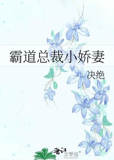 霸道总裁小娇妻txt